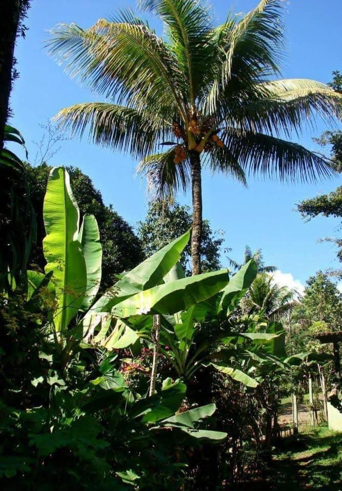Pousada Villa Da Gama Araquari Værelse billede