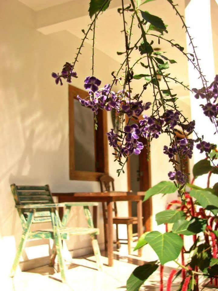Pousada Villa Da Gama Araquari Værelse billede